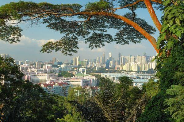 תצפית מהר פבר, מה לעשות בנחיתת ביניים בסינגפור